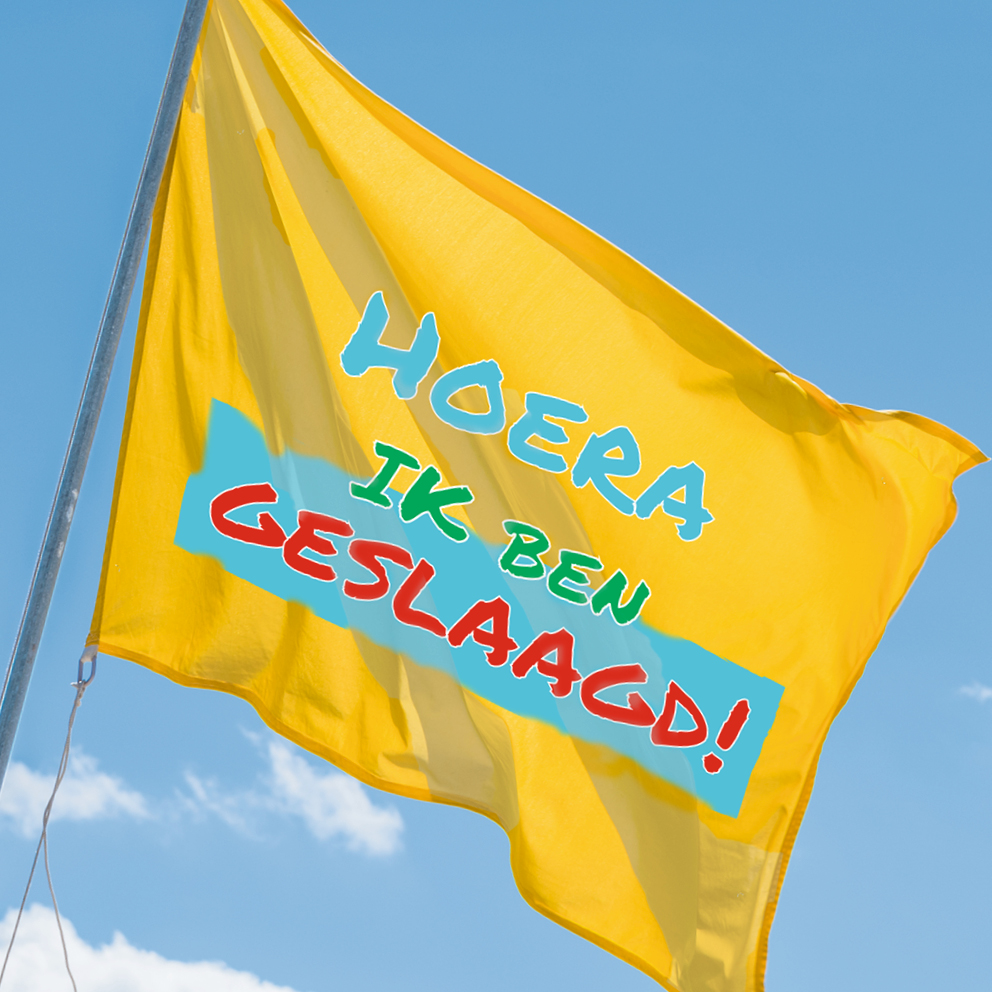 examen vlaggen geslaagd